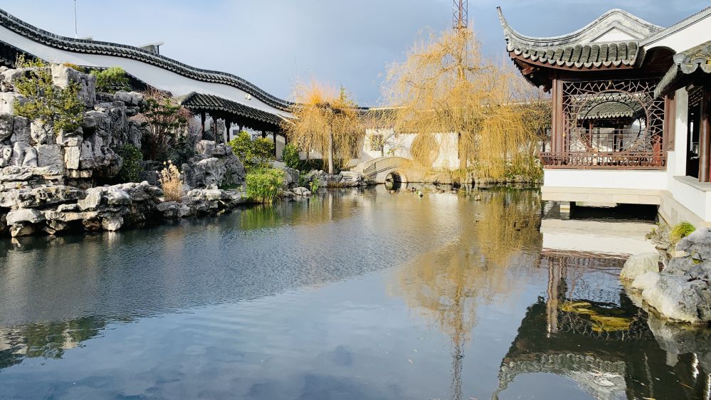 Dunedin Chinese Scholar’s Garden